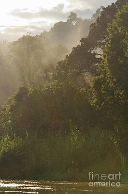 Outdoors Wall Art featuring the photograph Kinabatangan River Bank At Sunrise by Sami Sarkis Photography