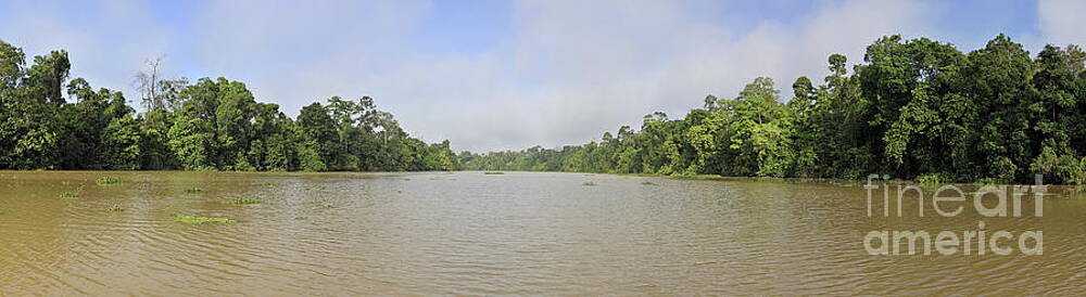 Nature Wall Art featuring the photograph Kinabatangan River by Sami Sarkis Photography
