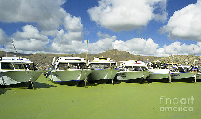 Wall Art featuring the photograph Lake Titicaca Boat Harbor by Darcy Michaelchuk