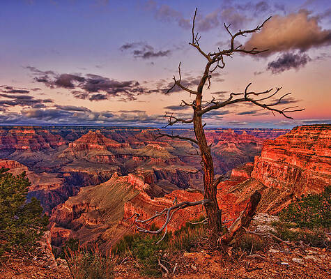 Sky Photograph - Lone Observer by Beth Sargent