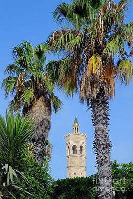 City Photograph - Minaret Of Mosque In Between Palm Trees by Sami Sarkis Photography