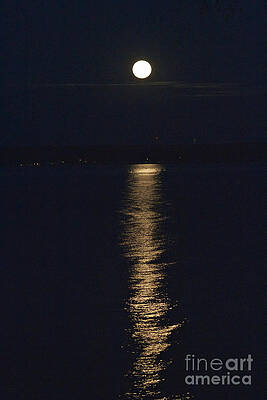 Finger Lake Photograph - Moon Over Seneca Lake by William Norton