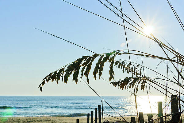 Photograph - Morning Light 2 by Rob Narwid