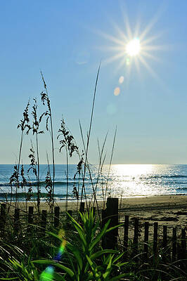 Photograph - Morning Light by Rob Narwid