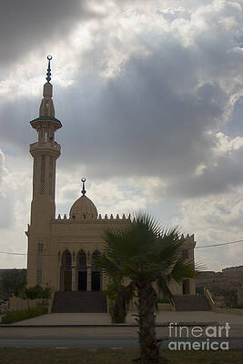 Egypt Wall Art featuring the photograph Mosque Outside Alexandria by Darcy Michaelchuk