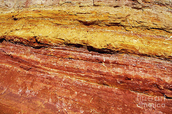 Europe Photograph - Natural Pattern by Sami Sarkis Photography