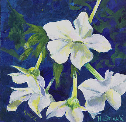 Wall Art featuring the painting Nicotiana by Raette Meredith