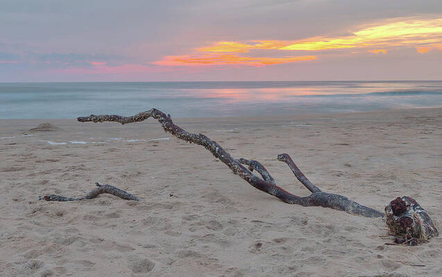 Photograph - OBX Sunrise by Rob Narwid