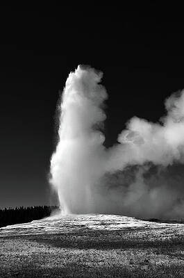 Nature Wall Art featuring the photograph Old Faithful by La Dolce Vita