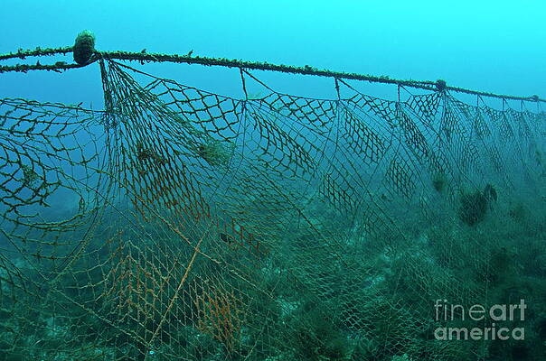 France Photograph - Old Fishing Net Lost On Ocean Floor by Sami Sarkis Photography