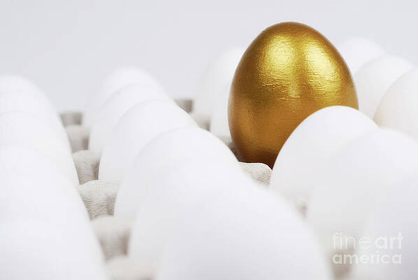Golden Egg Among White Eggs Wall Art