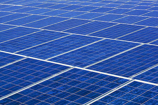 Green Wall Art featuring the photograph Panel Design by Kelley King