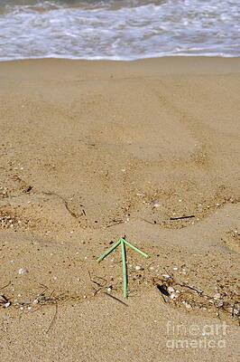 Beach Wall Art featuring the photograph Plastic Arrow On Beach By Water's Edge by Sami Sarkis Photography