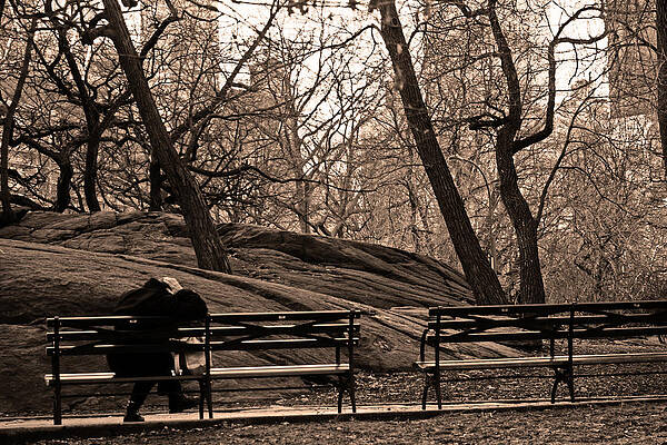 Tree Wall Art featuring the photograph Pondering In Sepia by La Dolce Vita