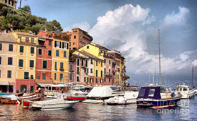 Italy Wall Art featuring the photograph Portofino Harbor by Roche Fine Art