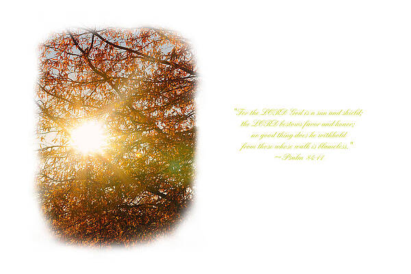 Photograph - Rays Of Light by Rob Narwid