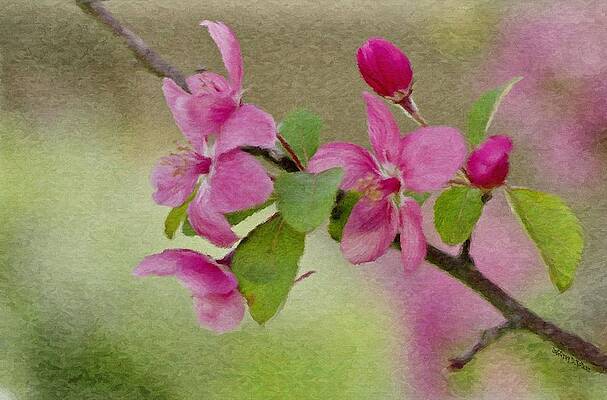 Wall Art featuring the painting Redbud Branch by Jeffrey Kolker