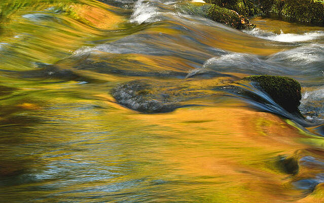 Water Wall Art featuring the photograph Reflection by Jean Noren