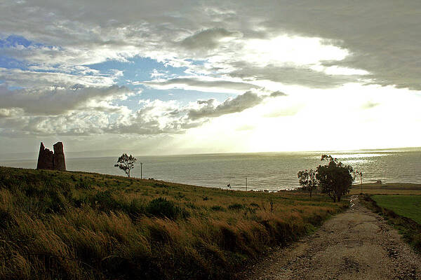 Water Wall Art featuring the photograph Road To The Ocean by La Dolce Vita