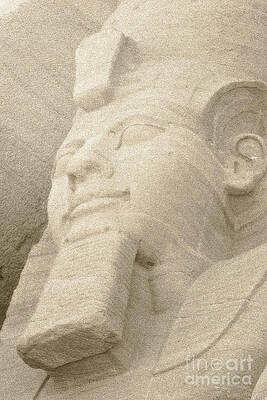 Egypt Wall Art featuring the photograph Ruins At Abu Simbel by Darcy Michaelchuk