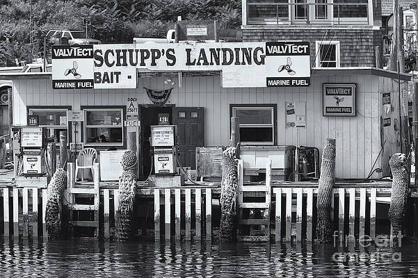 Wall Art featuring the photograph Schupp's Landing II by Clarence Holmes