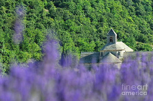 Outdoors Wall Art featuring the photograph Senanque Abbey And Lavender Field by Sami Sarkis Photography