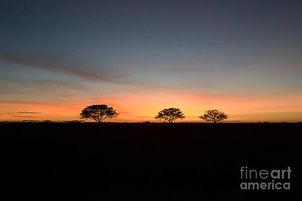 Tanzania Photograph - Serengeti Sunset by Darcy Michaelchuk