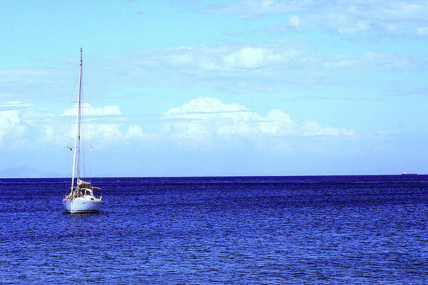 Water Wall Art featuring the photograph Setting Sail by La Dolce Vita