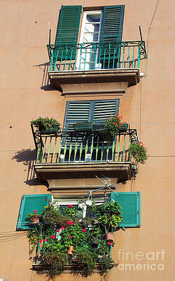 Italy Wall Art featuring the photograph Shutters - Genoa Italy by Roche Fine Art