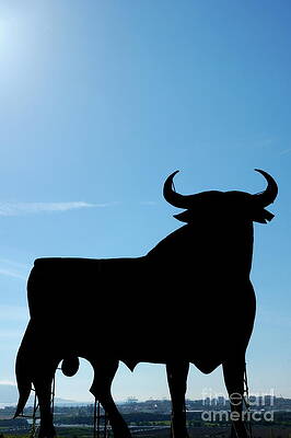 Color Image Wall Art featuring the photograph Silhouette Of Osborne Bull by Sami Sarkis Photography