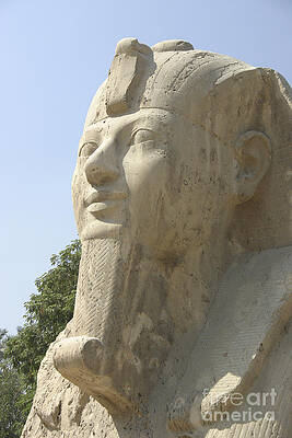 Egypt Wall Art featuring the photograph Small Sphinx by Darcy Michaelchuk