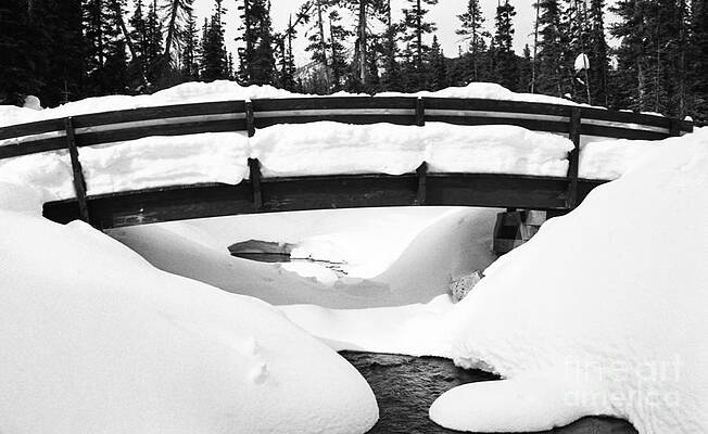 Sky Photograph - Snow Bridge In Canadian Rockies by Darcy Michaelchuk