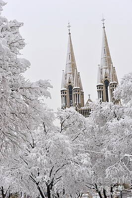 City Photograph - Snow On Bell Towers And Trees by Sami Sarkis Photography