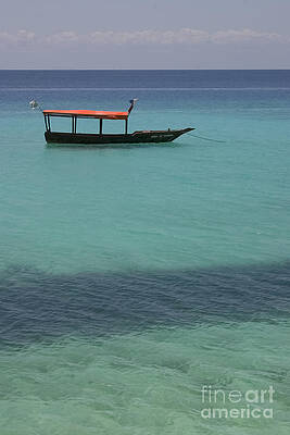 Tanzania Photograph - Spirit Of Freedom by Darcy Michaelchuk