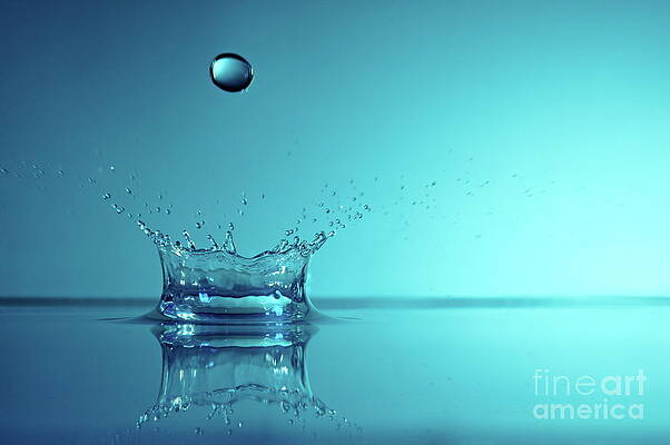 Wall Art featuring the photograph Splashing Water Droplet by Sami Sarkis Photography