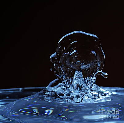 Wall Art featuring the photograph Splashing Water Droplet Shaping Human Profile by Sami Sarkis Photography