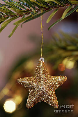 Close Up Photograph - Star And Garland On Christmas Tree by Sami Sarkis Photography