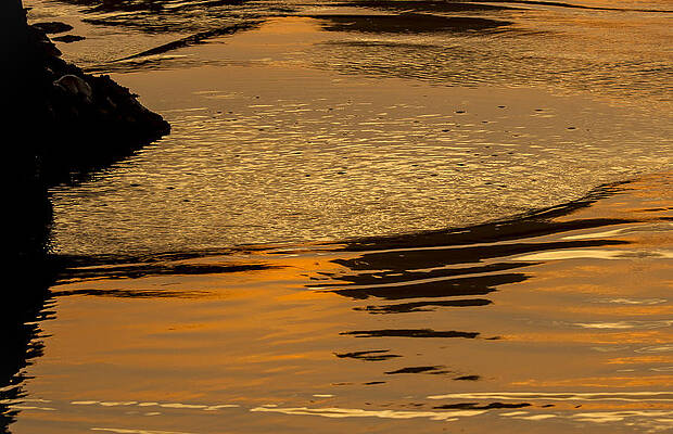 Nature Photograph - Sunset Reflected. by Jean Noren
