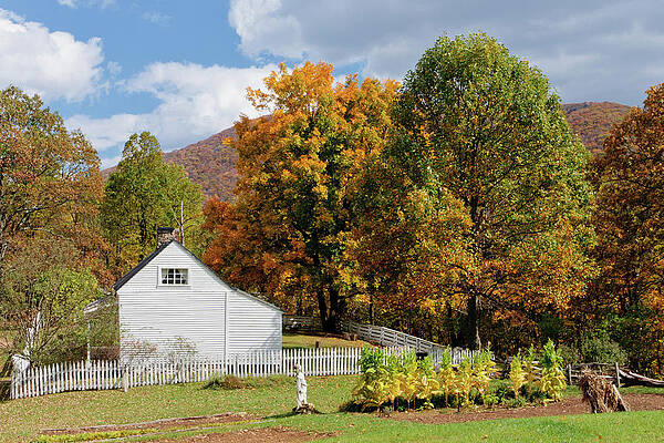Photograph - The Colors Of Fall by Rob Narwid