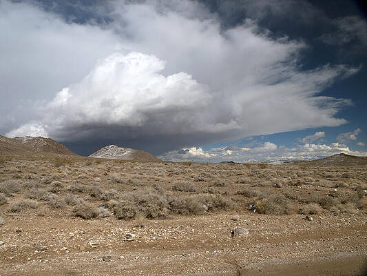Sky Wall Art featuring the photograph The Gathering by Joe Schofield