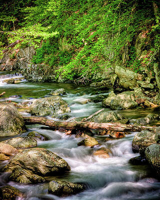 Photograph - The Silk Of Water. by Rob Narwid