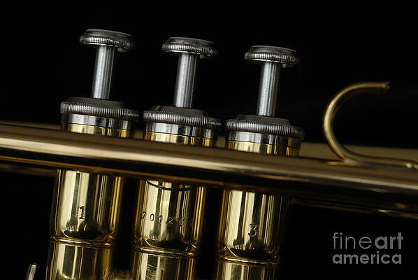 Close Up Photograph - Three Trumpet Pistons by Sami Sarkis Photography
