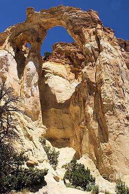 Utah Photograph - Towering Arch by Adam Jewell