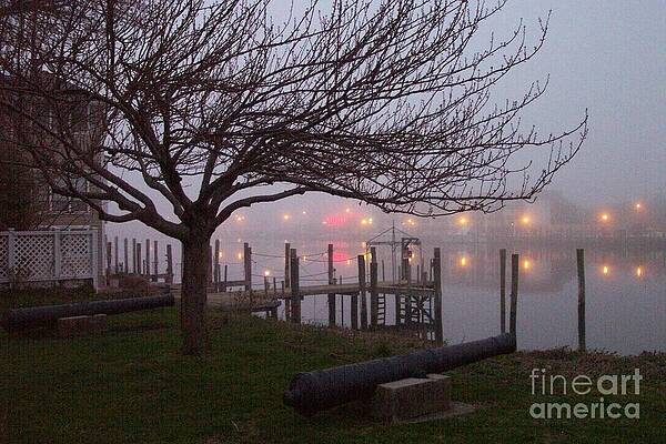 Photograph - Tree And Fog At The Lewes-Rehoboth Canal by Roche Fine Art