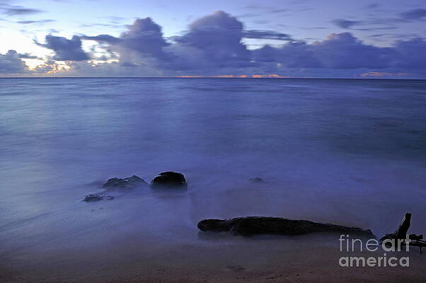 Cloud Photograph - Tree Trunk And Rocks Partially Submerged In Sea At Sunrise by Sami Sarkis Photography