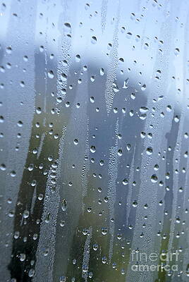 Wall Art featuring the photograph Vapor And Drops On Window In The Morning by Sami Sarkis Photography