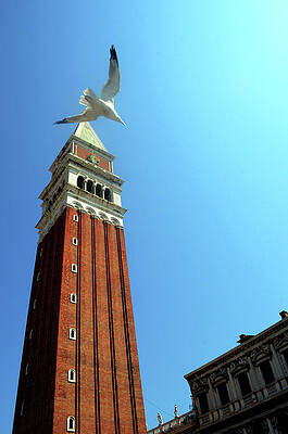 Architecture Photograph - Venetian Fly-by by La Dolce Vita