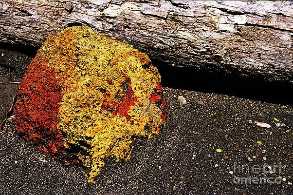Wall Art featuring the photograph Volcanic Rock by Sami Sarkis Photography