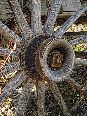 Photograph - Wagon Wheel by Fred Denner