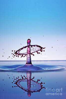 Wall Art featuring the photograph Water Drops Colliding To Shape An Umbrella Splash by Sami Sarkis Photography